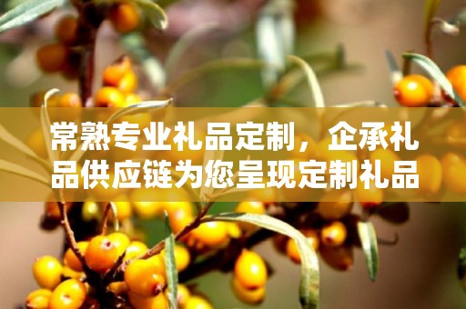 常熟专业礼品定制，企承礼品供应链为您呈现定制礼品的极致体验